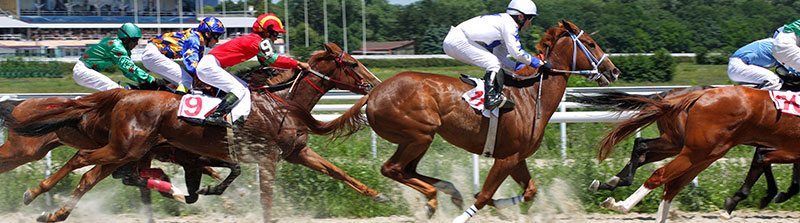 Wedden op paarden 