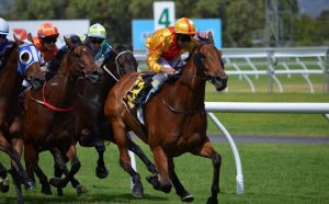 Virtueel wedden op paarden