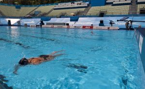 Wedden op zwemmen: WK korte baan