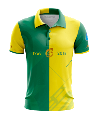 weddenopsport.eu wedden op de fortuna sittard shirt 2018 (1)