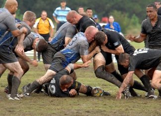 Wedden op rugby: hersenschudding spelen rugby