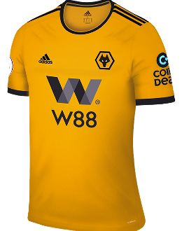 Wedden op Wolverhampton Wanderers